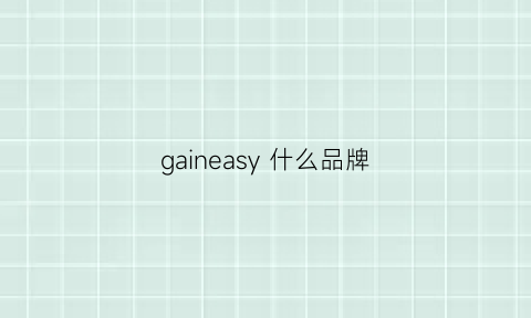 gaineasy什么品牌(gasn是什么品牌)